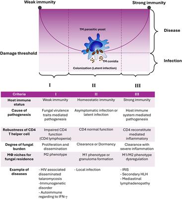 The microbial damage and host response framework: lesson learned from pathogenic survival trajectories and immunoinflammatory responses of Talaromyces marneffei infection